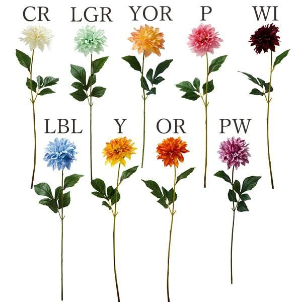  Ƃ悹i _Aj[W(1Zbg12{) CeA CeAt[ tFCNt[ VNt[ lfBXvC~[WA YDM