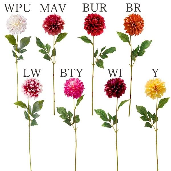  Ƃ悹i _AubN(1Zbg12{) CeA CeAt[ tFCNt[ VNt[ lfBXvC~[WA YDM