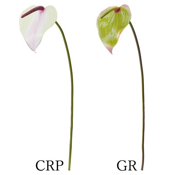  Ƃ悹i tbVAX[(1Zbg12{) AX[ A[eBtBVt[ ϗtA t lfBXvC~[WA YDM