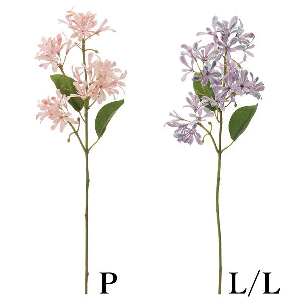  Ƃ悹i Cht[Xv[(1Zbg12{) CeA CeAt[ tFCNt[ ԍ lfBXvC~[WA YDM