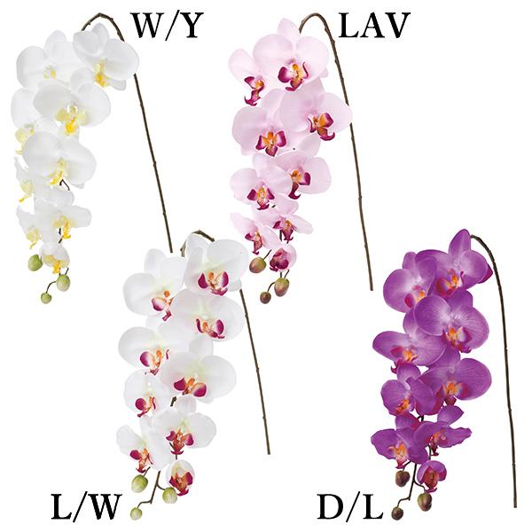  Ƃ悹i R`E(1Zbg6{) CeA CeAt[ tFCNt[ VNt[ ԍ lfBXvC~[WA YDM