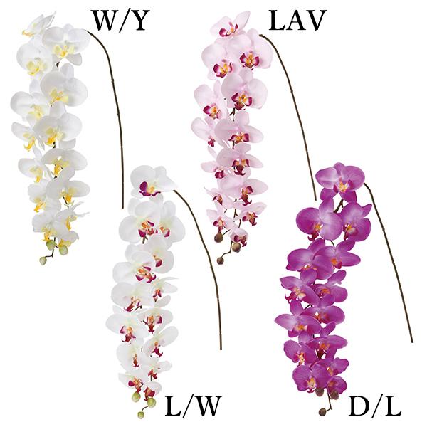  Ƃ悹i OR`E(1Zbg6{) CeA CeAt[ tFCNt[ ԍ Ԏ lfBXvC~[WA YDM