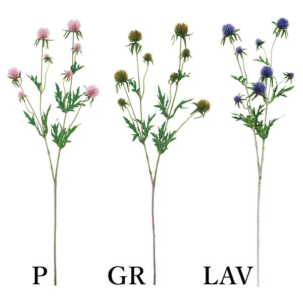  O[  Ƃ悹i O[uVXXv[(1Zbg12{) CeA tFCN O[ p[c ԍ t lfBXvC~[WA YDM