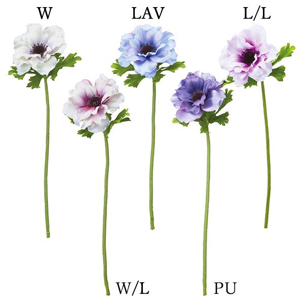 yP5{ 12/02 09:59z  Ƃ悹i tAll(1Zbg12{) A[eBtBVt[ CeA lfBXvC~[WA YDM