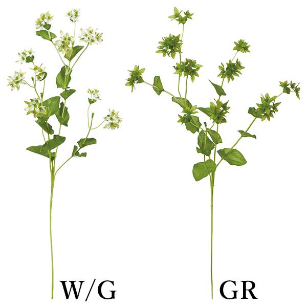  Ƃ悹i vvE(1Zbg12{) CeA CeAt[ tFCNt[ VNt[ DIY lfBXvC~[WA YDM