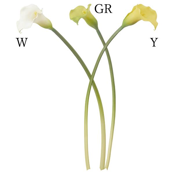 yP5{ 12/02 09:59z  Ƃ悹i J[[(1Zbg12{) A[eBtBVt[  ԍ f lfBXvC~[WA YDM