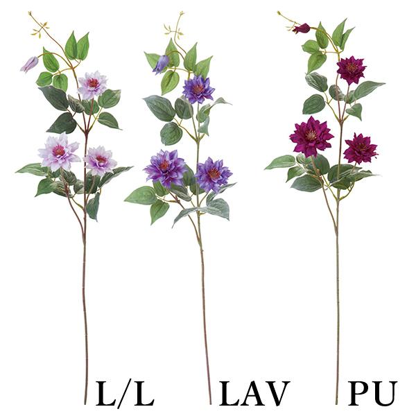 y|Cg5{ 11/03 09:59z  Ƃ悹i N}`X(1Zbg12{) ebZ CeA tFCNt[ lfBXvC~[WA YDM