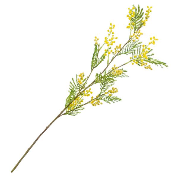  Ƃ悹i ~UXv[(1Zbg12{) CeA CeAt[ tFCNt[ VNt[ lfBXvC~[WA YDM