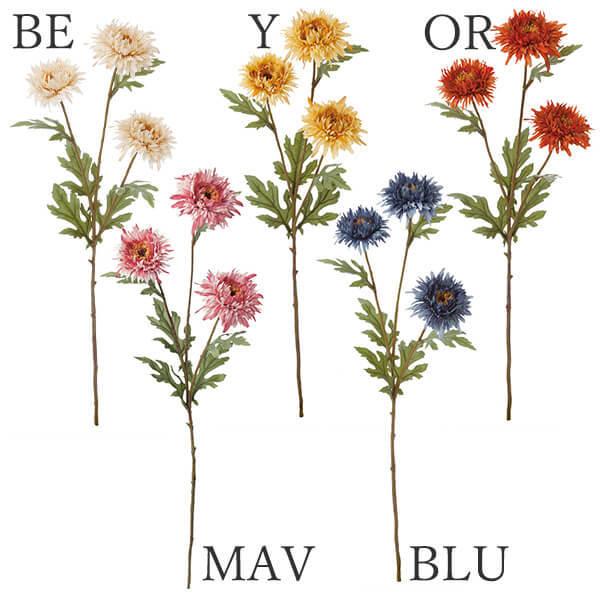 yP5{ 12/02 09:59z  Ƃ悹i hChAX^[Xv[(1Zbg12{) A[eBtBVt[  lfBXvC~[WA YDM