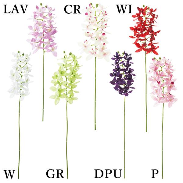  Ƃ悹i VrW[(1Zbg12{) CeA CeAt[ tFCNt[ VNt[ lfBXvC~[WA YDM