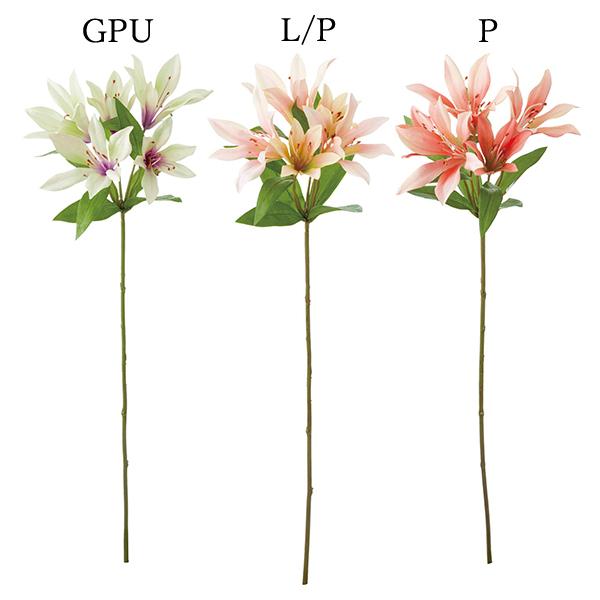  Ƃ悹i IG^[(1Zbg12{) S   A[eBtBVt[ CeA ԍ lfBXvC~[WA YDM