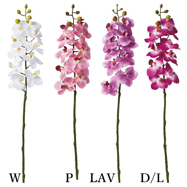  Ƃ悹i VOI[Lbh(1Zbg12{) CeA CeAt[ tFCNt[ ԍ Ԏ lfBXvC~[WA YDM