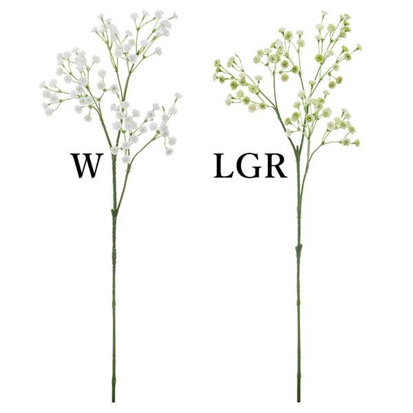  Ƃ悹i JX~Xv[(1Zbg12{) ݑ Wv\tB Mv\tB A[eBtBVt[ lfBXvC~[WA YDM