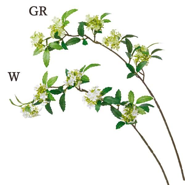  Ƃ悹i Rf}u`(1Zbg12{) CeA CeAt[ tFCNt[ ԍ Ԏ lfBXvC~[WA YDM