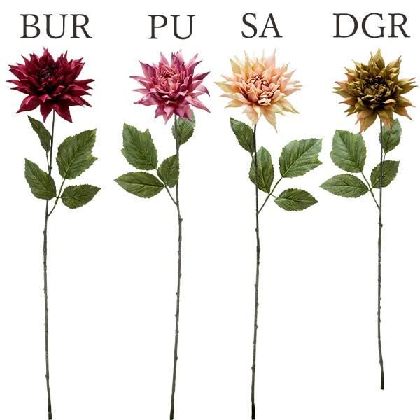  Ƃ悹i VO_A(1Zbg12{) CeA CeAt[ tFCNt[ VNt[ lfBXvC~[WA YDM