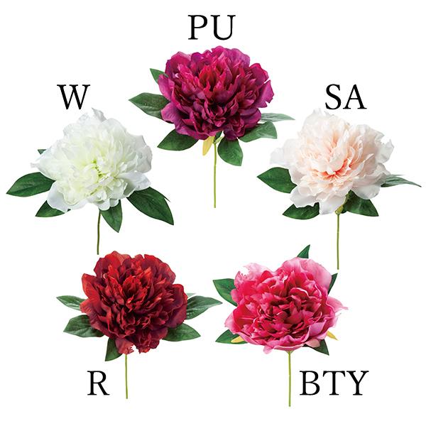 y|Cg5{ 11/03 09:59z  Ƃ悹i sIj[sbN(1Zbg12{) {^ O VNN 䉖 ԍ lfBXvC~[WA YDM