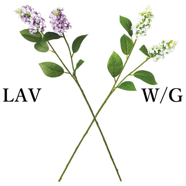  Ƃ悹i CbN(1Zbg12{)  CeA CeAt[ tFCNt[ VNt[ lfBXvC~[WA YDM