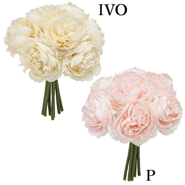  Ƃ悹i ptB[iLXu[P(1Zbg12) CeA CeAt[ tFCNt[ t lfBXvC~[WA YDM