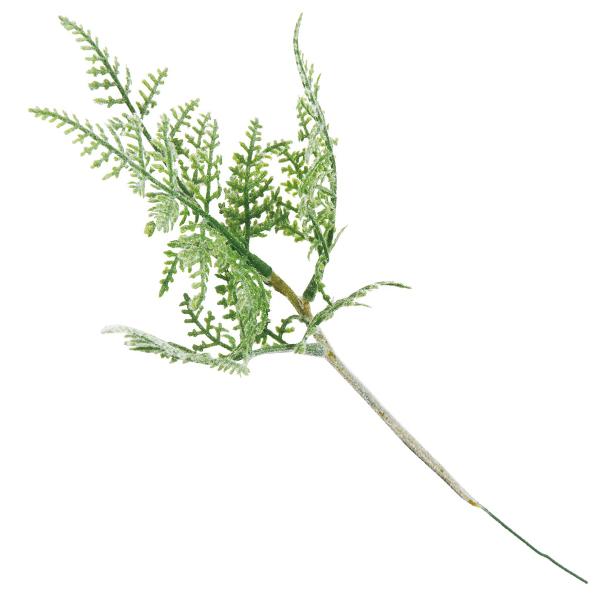  O[ Ƃ悹i fB[t@sbN(1Zbg24{) CeA tFCN O[ p[c ԍ Ԏ lfBXvC~[WA YDM