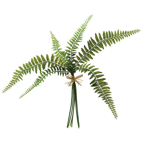  O[ Ƃ悹i vX`bNV_[oh(1Zbg12) CeA tFCN O[ p[c ԍ lfBXvC~[WA YDM