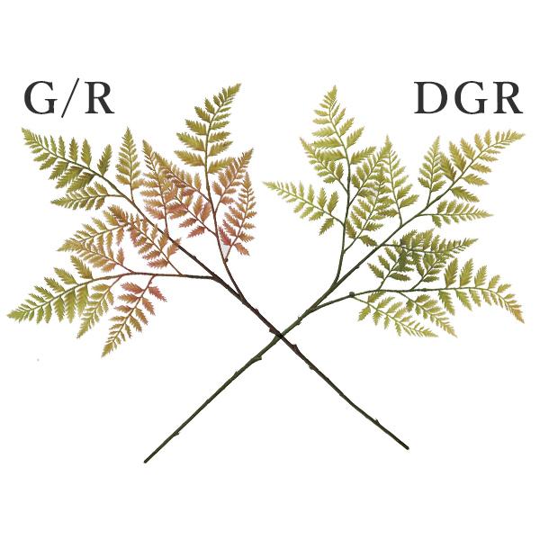  O[ Ƃ悹i t@[Xv[(1Zbg24{) CeA tFCN O[ p[c tFCNt[ lfBXvC~[WA YDM