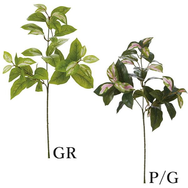  O[ Ƃ悹i zXv[(1Zbg12{) CeA tFCN O[ p[c CeAt[ lfBXvC~[WA YDM