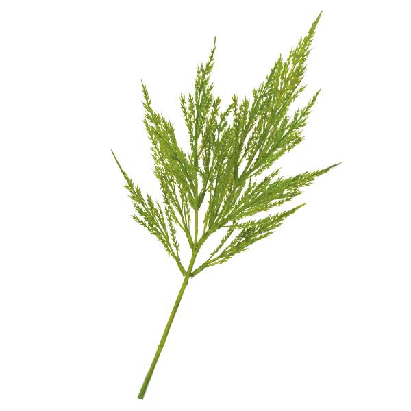  O[ Ƃ悹i o[bVOXXv[(1Zbg12{) CeA tFCN O[ p[c ԍ lfBXvC~[WA YDM