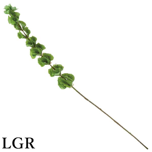  O[ Ƃ悹i Z(1Zbg12{) CeA tFCN O[ p[c CeAt[ ԍ lfBXvC~[WA YDM