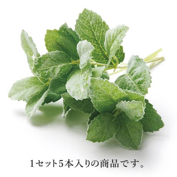  O[ Ƃ悹i v~g(1Zbg12Zbg) n[u CeA tFCN O[ p[c ԍ Ԏ lfBXvC~[WA YDM