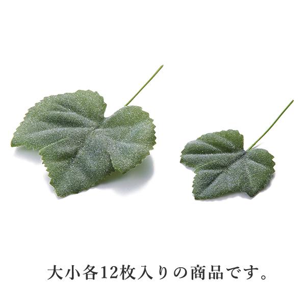  O[ Ƃ悹i O[vACr[24P(1Zbg12ܓ) CeA tFCN O[ p[c ԍ Ԏ lfBXvC~[WA YDM