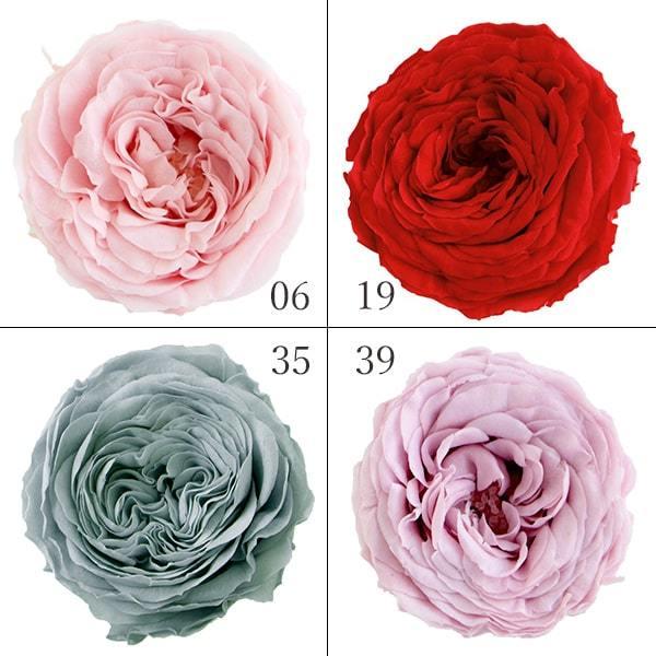 【商品仕様】花径約25~32mm花丈約18~23mm1箱8輪※天然素材の為、色、サイズ等が表記と多少異なる場合があります。※染料を使用しているため、パッケージ箱に色移りしていることがございます。ご使用時も色移りにご注意ください。( allp...