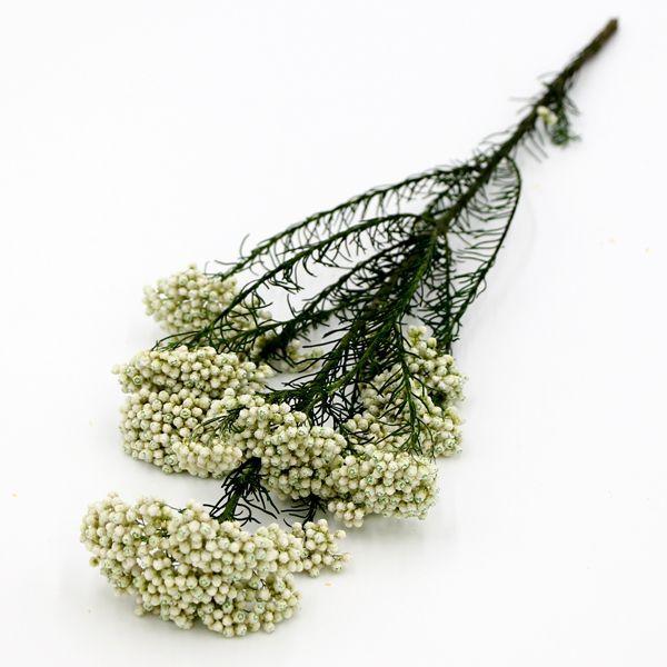 ドライフラワー 花材 即日出荷 アスカ ライスフラワー ホワイトグリーン プリザーブドフラワー 花材 材料 リース ブーケ 手作り ハンドメイド Sas An 052 造花ドライフラワー専門問屋花びし 通販 Yahoo ショッピング