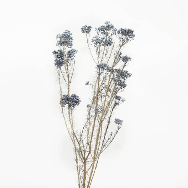 ドライフラワー 花材 即日出荷 アスカ ライスフラワー グレイ プリザーブドフラワー 花材 材料 リース ブーケ 手作り ハンドメイド スワッグ Sas An 063 造花ドライフラワー専門問屋花びし 通販 Yahoo ショッピング
