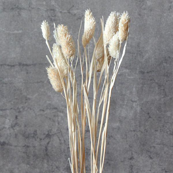 【商品仕様】全長約45cm【お伝えしたいこと】※画像よりもクリーム味が強い場合があります。※花材を入れている袋にしわが入っている場合があります。( allp5 )(10_dras)( 15_asoh )( dryear )江戸時代にカナリア...