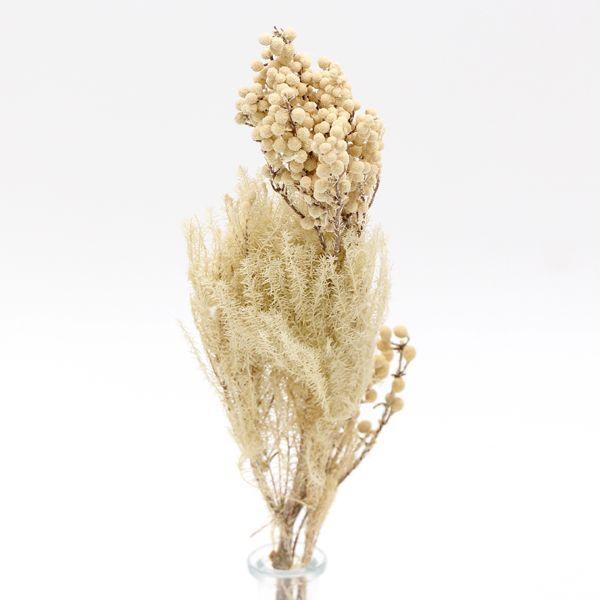 正規激安 造花ドライフラワー専門問屋花びし ドライフラワー 花材 即日出荷 アスカ バーゼリア クリームホワイト ドライフラワー スワッグ ブーケ ドライフラワー花束 花束 ナチュラル 花 Latam Tech