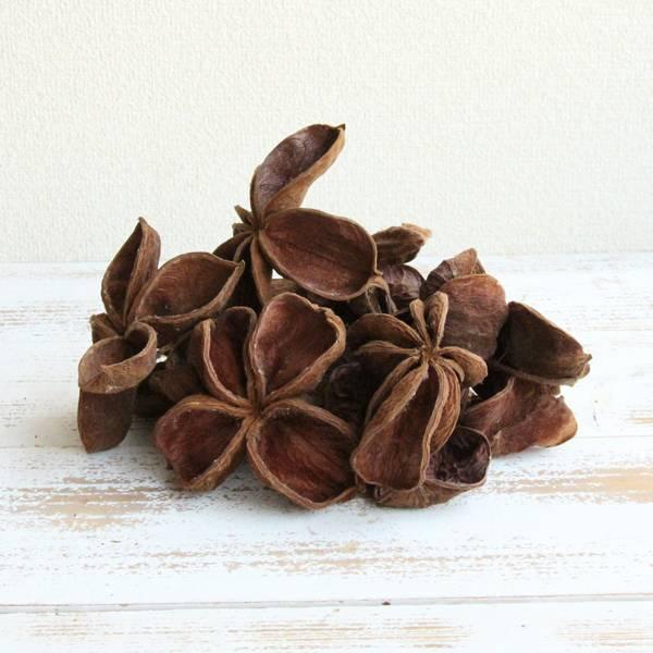 hCt[ ԍ o MM[^Xt[ 12Zbg ؂̎ i` Rf CeA fBXvC AW NX}X [X ԍ