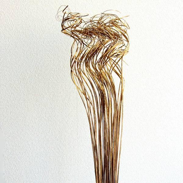 ドライフラワー 花材 即日出荷 Rmカーリースティックglグリッター カーリー カーリーティンティン ゴールド ナチュラル 花材 素材 材料 Sfy 造花ドライフラワー専門問屋花びし 通販 Yahoo ショッピング