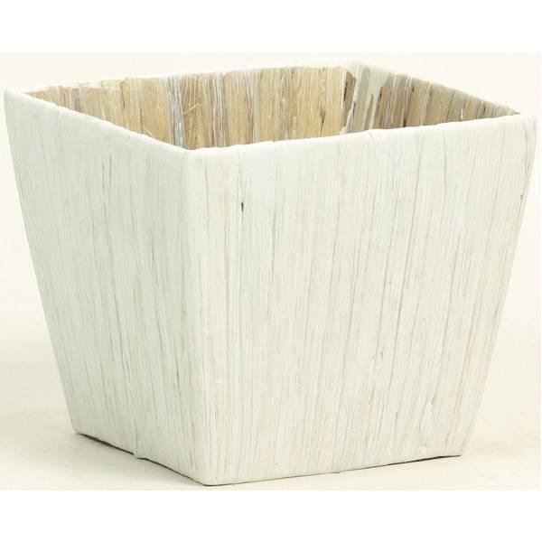 s  x[X Jo[ |bgJo[ tƂ悹iSG Wonder zone LtqVX_4pp oXPbg  |bg Ԏ