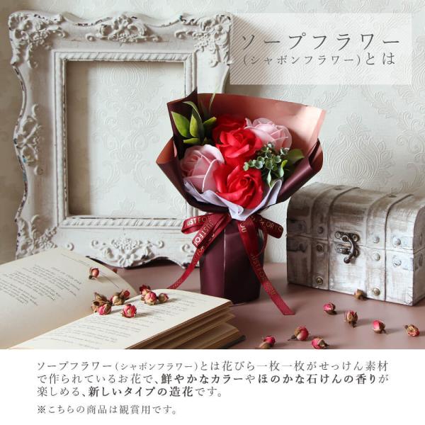 �\�[�v�t�����[ �v���[���g �����o�� ���O�W���A���[�X�^���hM ��̓��M�t�g �ސE�j�� �����j�� ���̂܂܏���� �a���� �h�V �h�V�̓� �� �{�b�N�X �� �� ���i�摜2