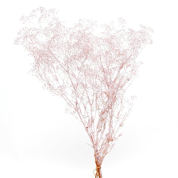 【商品仕様】全長約50cm/1束(約21g)【お伝えしたいこと】 ※プリザーブドフラワーとは※生花に柔らかい質感を保つよう特殊加工を施したものです。プリザーブドフラワーは染料が染み出す場合があります。ご使用時も色移りにご注意ください。自然素...