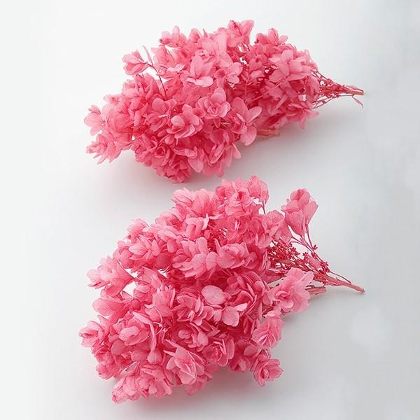 プリザーブドフラワー 即日出荷 大地農園 カシワバアジサイ ストロベリー あじさい 紫陽花 プリザ 花材 材料 素材 Soh 221 造花ドライフラワー専門問屋花びし 通販 Yahoo ショッピング