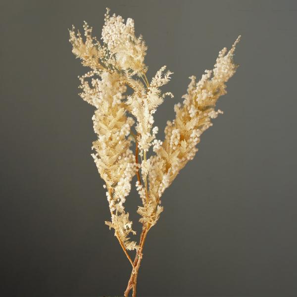 【商品仕様】全長約40cm約30g入り( 10_dras )( 15_asoh )( allp5 )ブラシのような葉っぱの形がユニークなミモザ・アカシアのドライフラワーです。リースやアロマワックスサシェ、レジン封入などにもピッタリの人気商品...