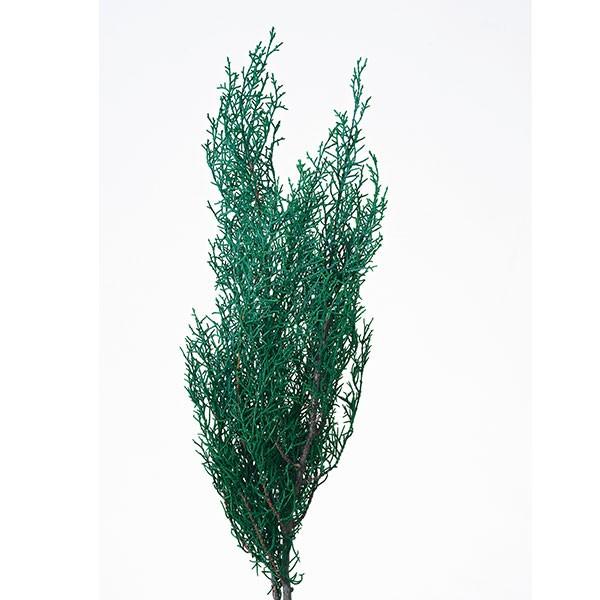 プリザーブドフラワー 即日出荷 大地農園 ブルーアイス グリーン プリザーブドフラワー スワッグ ブーケ ドライフラワー プリザ 花束 花材 Soh 700 造花ドライフラワー専門問屋花びし 通販 Yahoo ショッピング