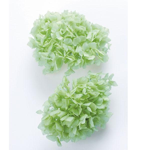 vU[uht[ ԍ o CAWTCEwbh NAO[ AWTC  z Ԃт vU[uht[ u[P n_