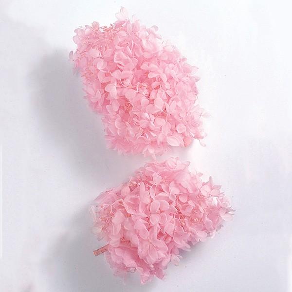 vU[uht[ ԍ o s~bhAWTCEwbh xr[sN AWTC  z Ԃт ԑ n_