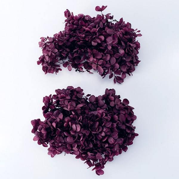 vU[uht[ ԍ o s~bhAWTCEwbh @CIbg AWTC  z Ԃт vU[uht[ ԑ n_