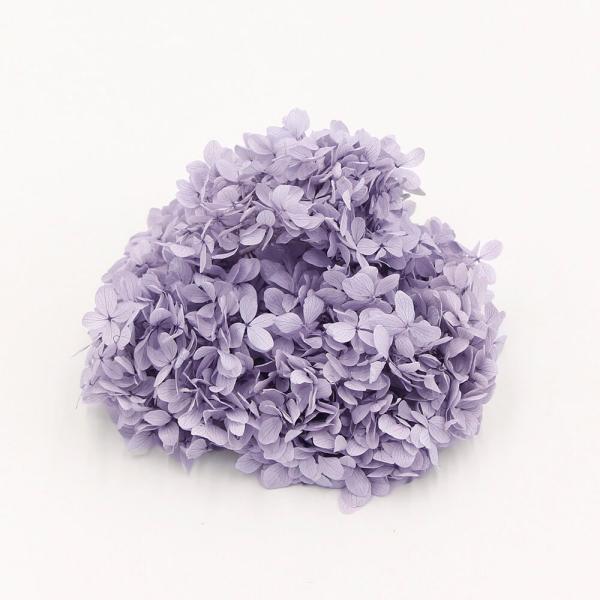 y-hanabishi_soh-01510-411