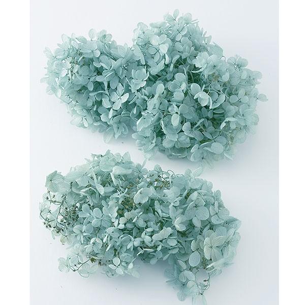 プリザーブドフラワー 即日出荷 大地 ソフトピラミッドアジサイ ヘッド ブルーグリーン あじさい 紫陽花 プリザ 花材 材料 素材 Soh 761 造花ドライフラワー専門問屋花びし 通販 Yahoo ショッピング