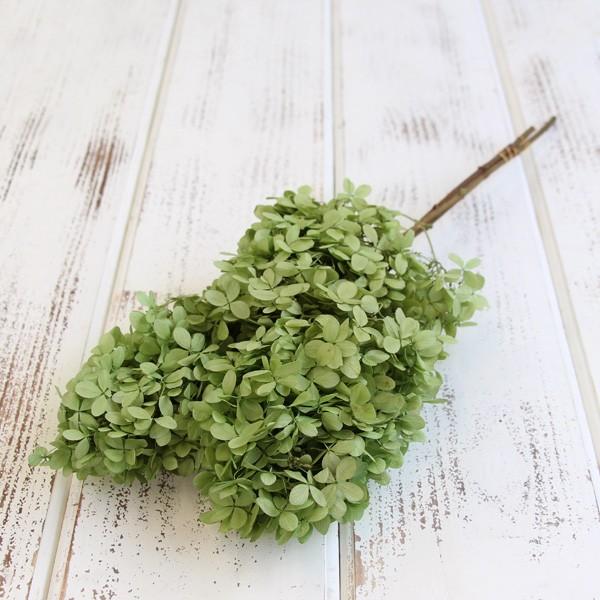 【商品サイズ】全長約40~50cm1束(約1~2本)【お伝えしたいこと】 ※プリザーブドフラワーとは※生花に柔らかい質感を保つよう特殊加工を施したものです。プリザーブドフラワーは染料が染み出す場合があります。ご使用時も色移りにご注意ください...