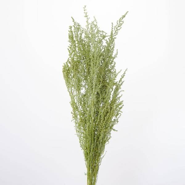 【商品仕様】全長約40~50cm約35g【お伝えしたいこと】 ※プリザーブドフラワーとは※生花に柔らかい質感を保つよう特殊加工を施したものです。プリザーブドフラワーは染料が染み出す場合があります。ご使用時も色移りにご注意ください。自然素材の...